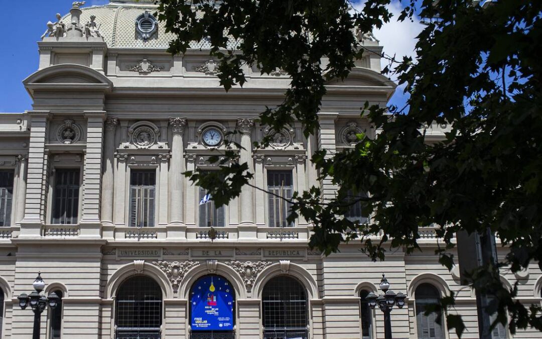 Votación del proyecto de tenencia compartida