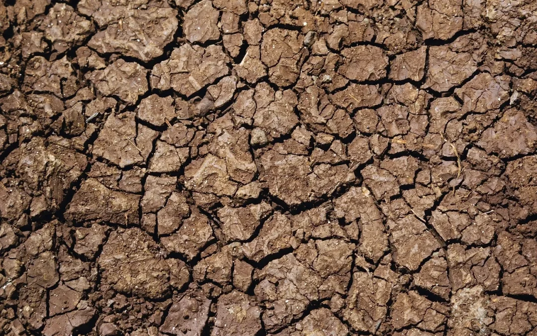 Uruguay se queda sin agua